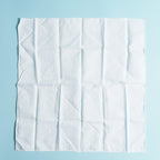 CHRISTIAN DIOR *Formal White Scarf Handkerchief 48cm XY209
