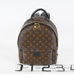 Louis Vuitton Palm Springs MM M41561 Monogram Canvas Backpack Used 07E196160027